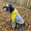 Thumbnail: Donald Duck Hoodie
