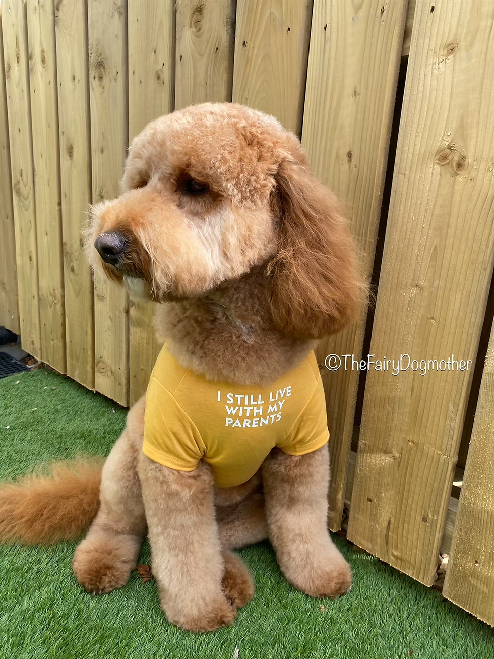 Thumbnail: Summer Tee Shirt - Yellow