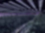 GBI BG 1_edited_edited.jpg