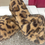 Thumbnail: Cheetah fur slides