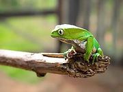 Untitled design_edited.jpg