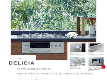 Rinnaiビルトインコンロ　DELICIA(デリシア)