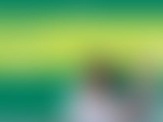 Programa de Estágio Alelo 2017