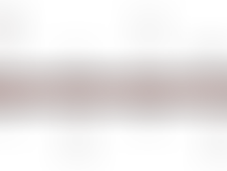 TRAINEE RENNER: GERÊNCIA DE LOJA