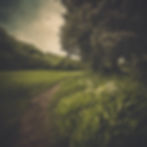 Wix AI Image