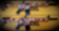 2 beararms AR_edited.jpg