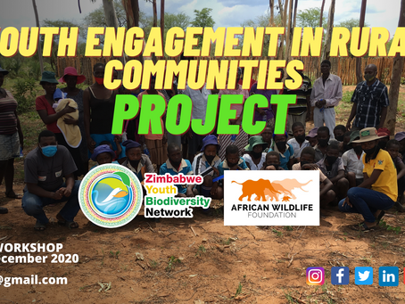 Youth Engagement In Rural Communities Project