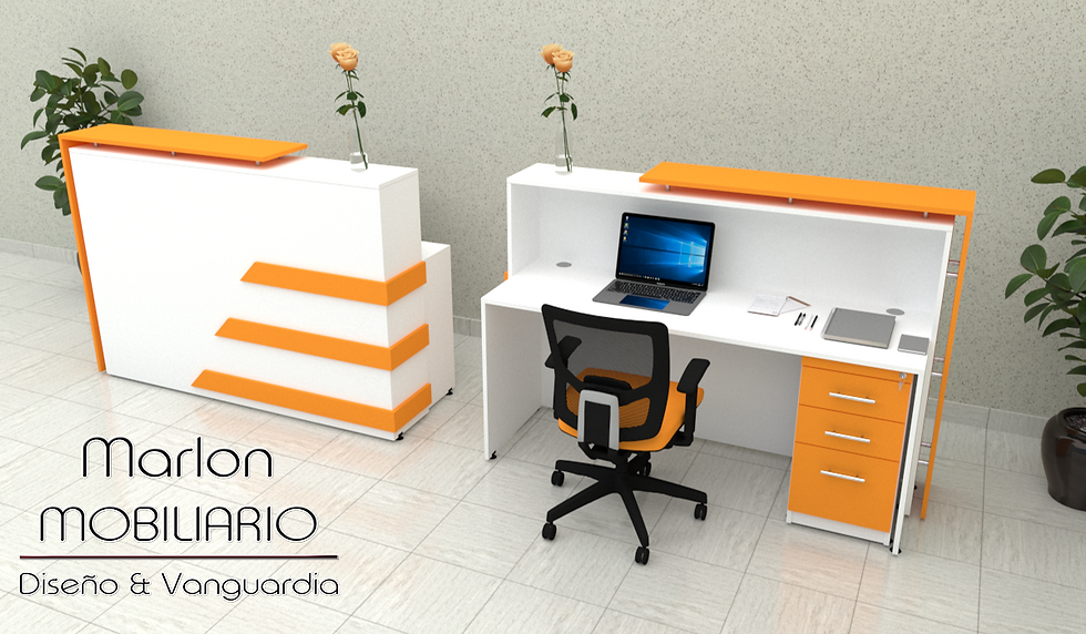 RECEPCION MOD. LEEROY 2