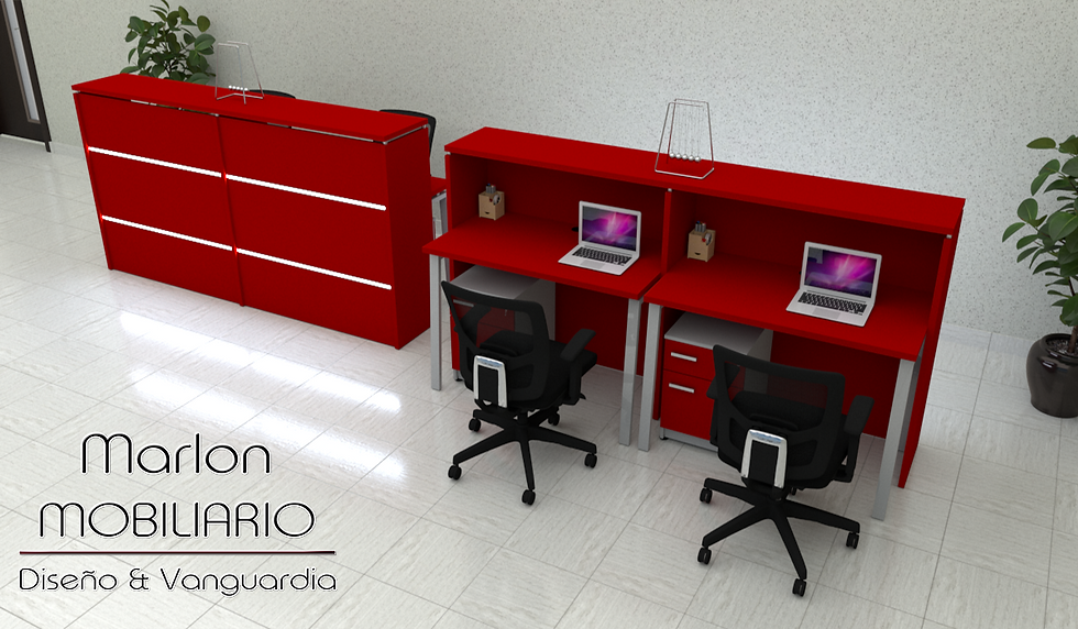 RECEPCION MOD. DERIK