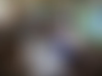 第１区小豆島の星城小学校が５年連続で宇宙アサガオを育てます