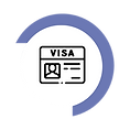VISA_100x.png
