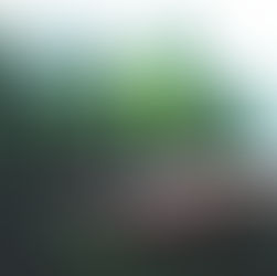 Green Living Tips: Eco-Friendly Practices for a Sustainable Household