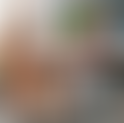 Celebrating the Workforce Behind Eccoxist: A Look at Our Tenants’ Dedication