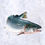 Thumbnail: Fresh Salmon Norway 新鲜三文鱼
