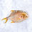 Thumbnail: Golden Pomfret 金鲳 600-800g