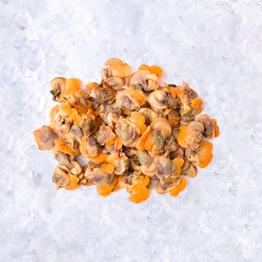 Cockle Meat 血蛤肉