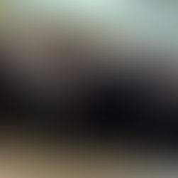 Abschied für 17 Lernende