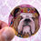 Thumbnail: Hippie Bulldog (Round Sticker)