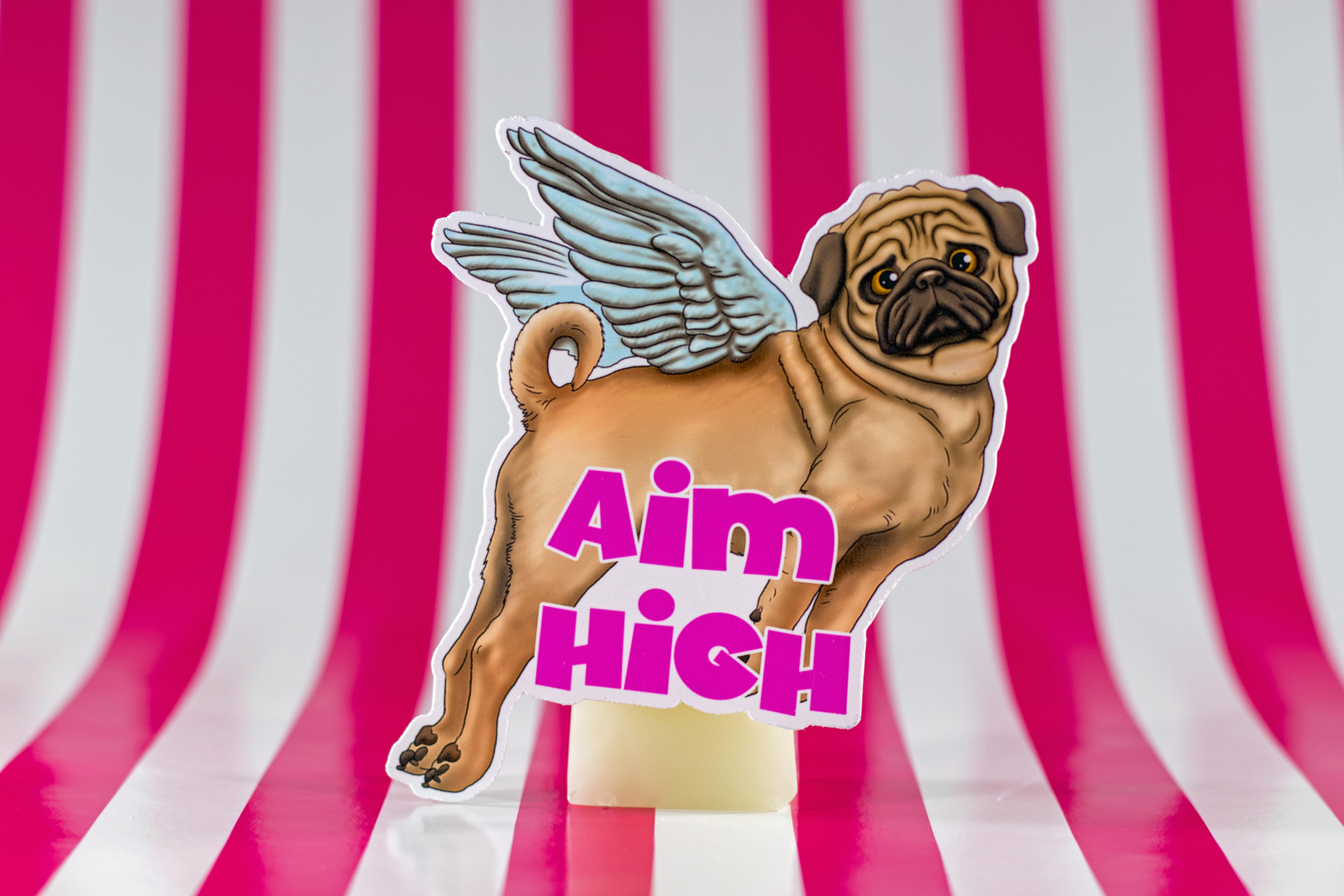 Aim High (Die Cut Sticker)