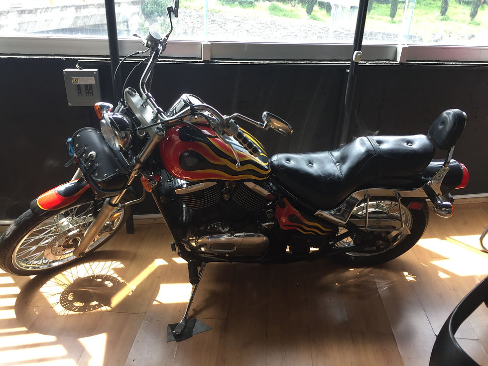 Kawasaki 800 1995 $50,000