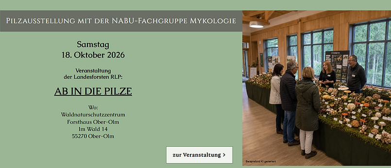 Screenshot 2026-07-05 200434.png