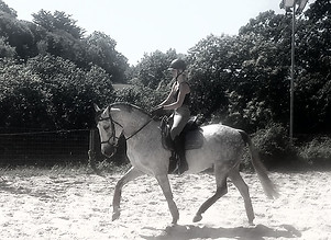 VideoCapture_20230707-184609_edited.jpg