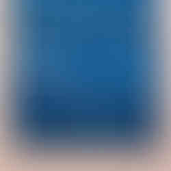 Visite de l'exposition à la fondation Maeght