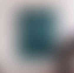 Visite de l'exposition à la fondation Maeght