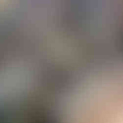 Exposition d'art contemporain "Contemplation" à Vence 