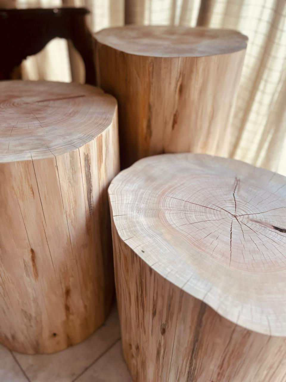 Miniatura: Set Troncos de Cipres Macizo