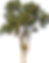 pngwing.com (1).png