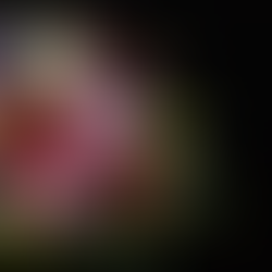 Celebrate Anniversaries with Elegant Anniversary Floral Bouquets