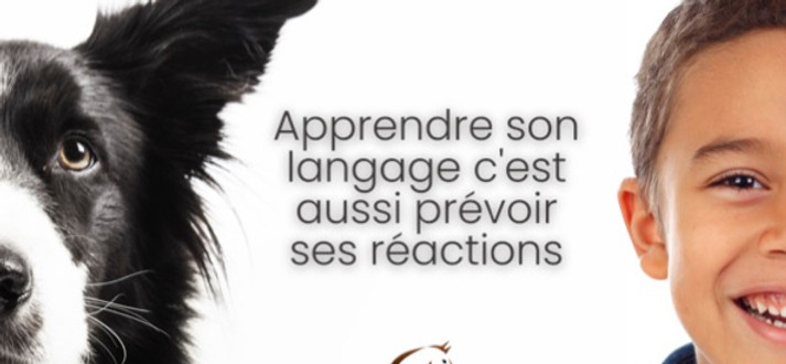flyer PECCRAM._edited.jpg