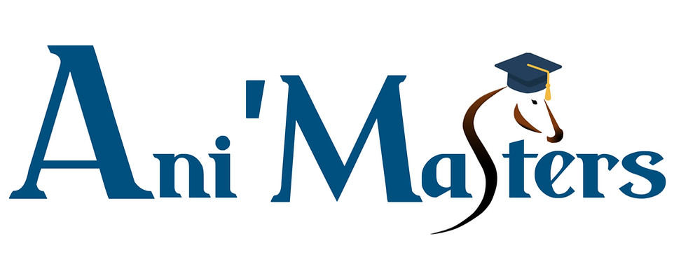 Design sans titre_edited.jpg