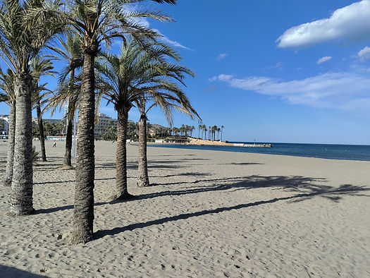 IMG_20230309_165114.jpg
