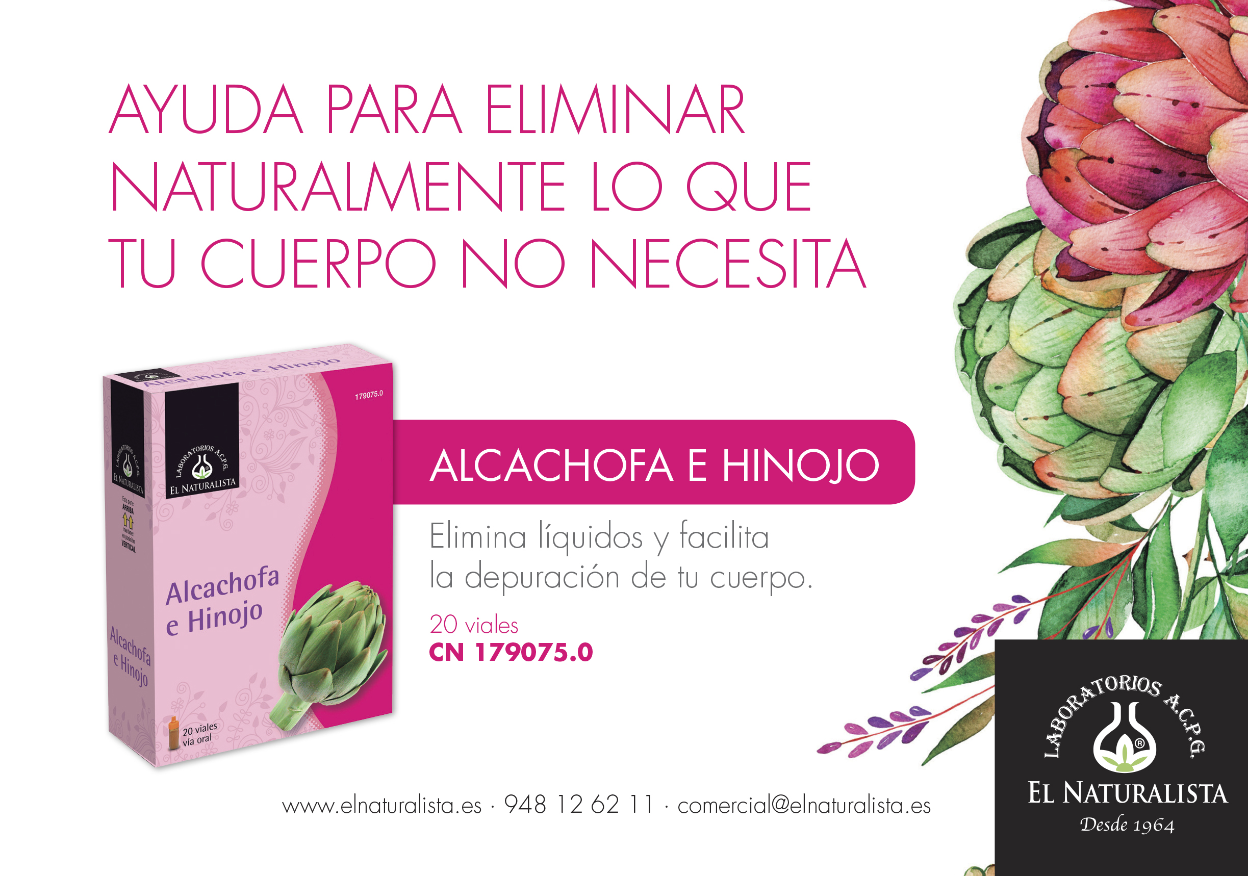 Alcachofa+Hinojo Xarxa_elnaturalista