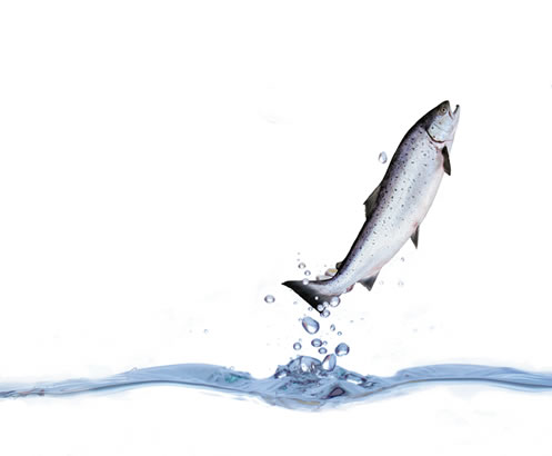 omega3