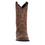 Thumbnail: Men's Laredo Piomosa Western Boot
