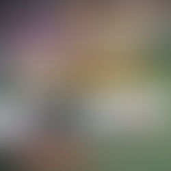 A história do famoso FIAT 147 ! - TV Digital Studio S