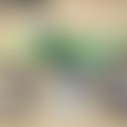 Nova Kawasaki KX 450F