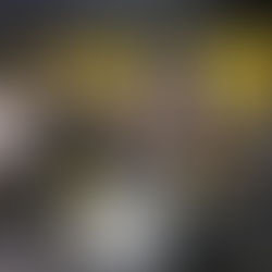 Planejamento 2020 do HOG Sorocaba Chapter 