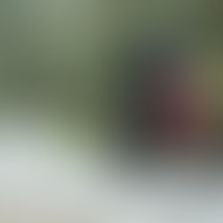 NA GRÃ-BRETANHA, HONDA CRF 450L GANHA KIT QUE DOBRA POTÊNCIA
