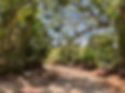 <p class="font_8">This beautiful 682.40 m2 / (7,345 sq ft) piece of land offers a rare blend of elevated tranquility and natural charm. As you walk across the property, you’re surrounded by lush greenery and impressively tall trees that create a serene, shaded landscape. The good size and natural layout make this an ideal location for building one family house as a residential project.</p>
<p class="font_8"><br></p>
<p class="font_8">The surrounding community is also with homes around, making this a wonderful opportunity to create a peaceful space where residents can enjoy the quiet beauty and fresh breezes that come with hilltop living. Whether you're envisioning a private escape, a small development, or a unique wellness or hospitality project, this land offers the perfect canvas.</p>
<p class="font_8"><br></p>
<p class="font_8">Come and see it today—your next great opportunity awaits on the hill of Camino Llibre</p>
<p class="font_8"><br></p>
<p class="font_8"><strong>Send your inquiry today for more information!</strong></p>