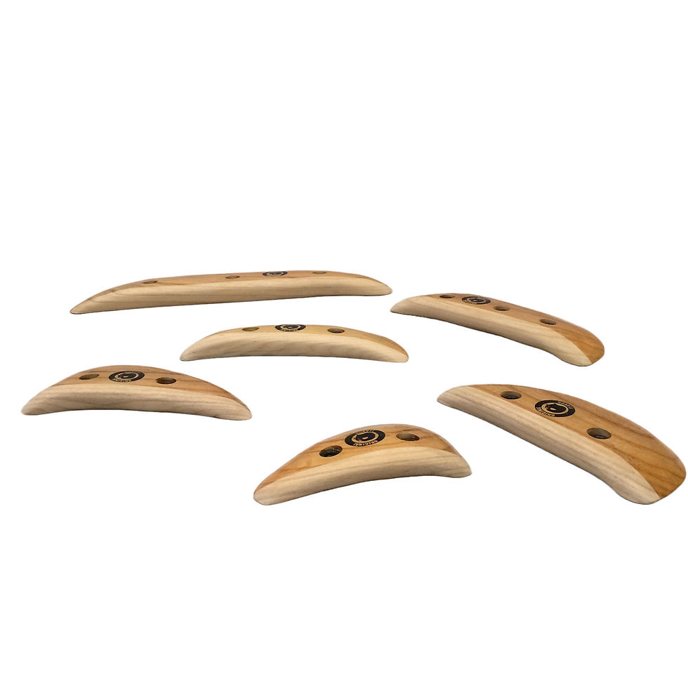 Thumbnail: Wooden climbing holds for indoor climbing walls