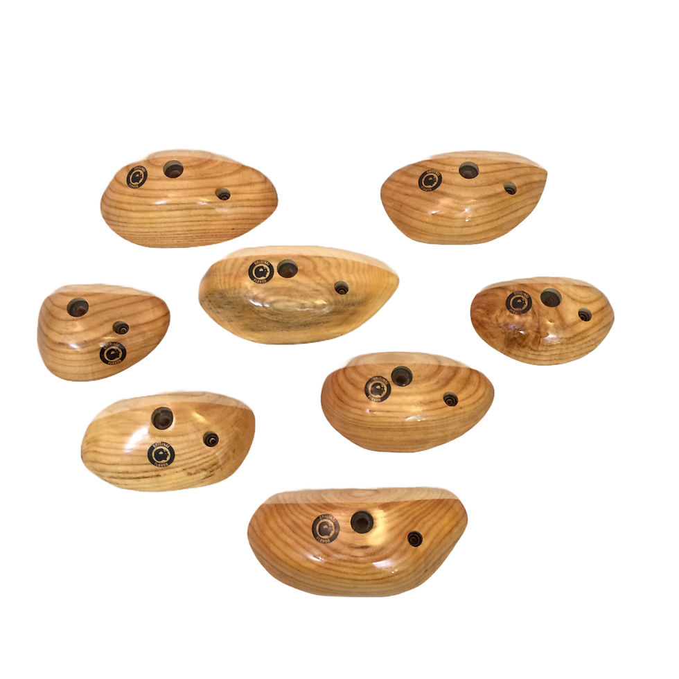 Thumbnail: Wooden climbing holds for indoor climbing walls