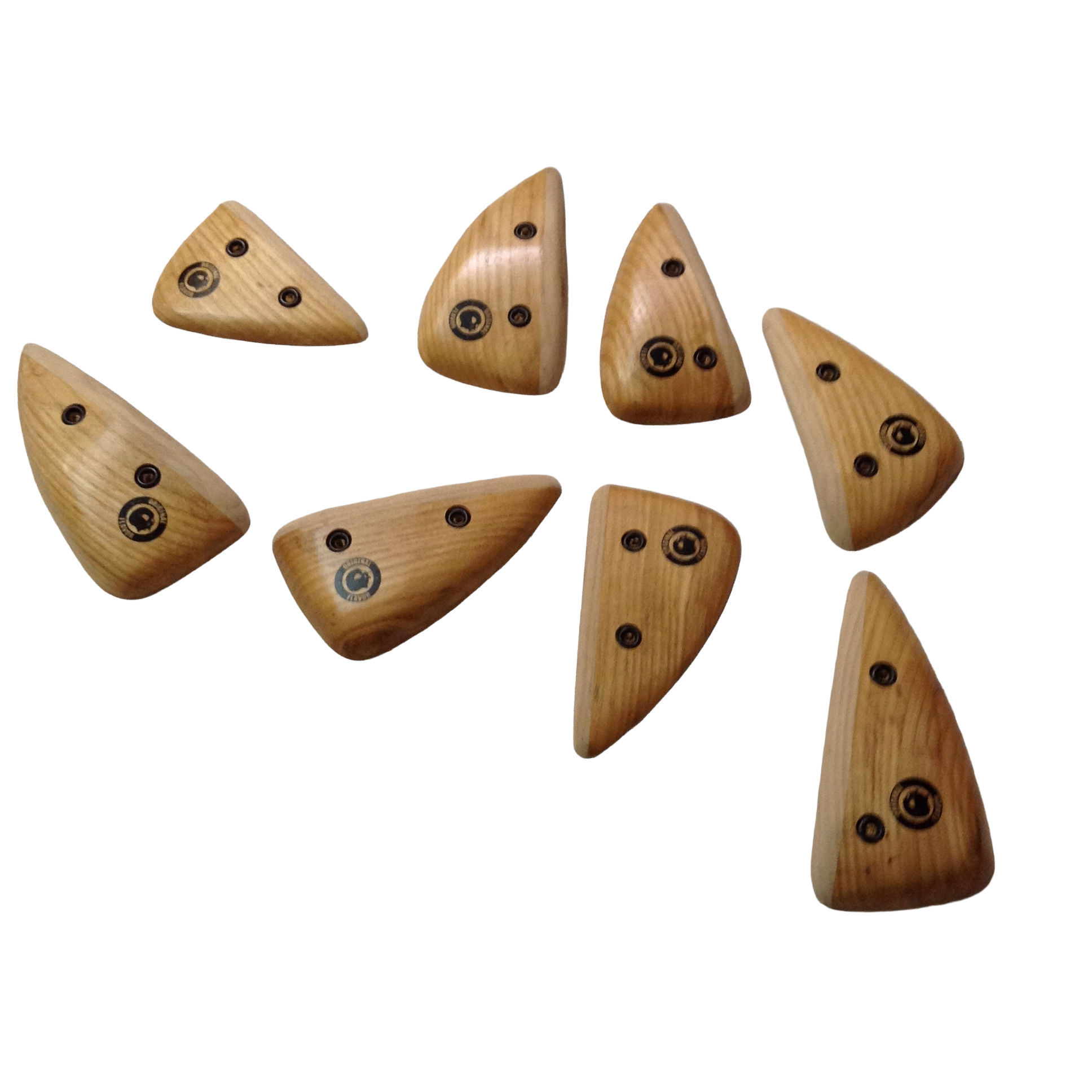 Shark Teeth