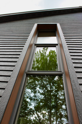 Tree-viewing window