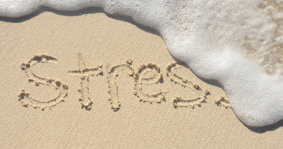 STRESS.jpg