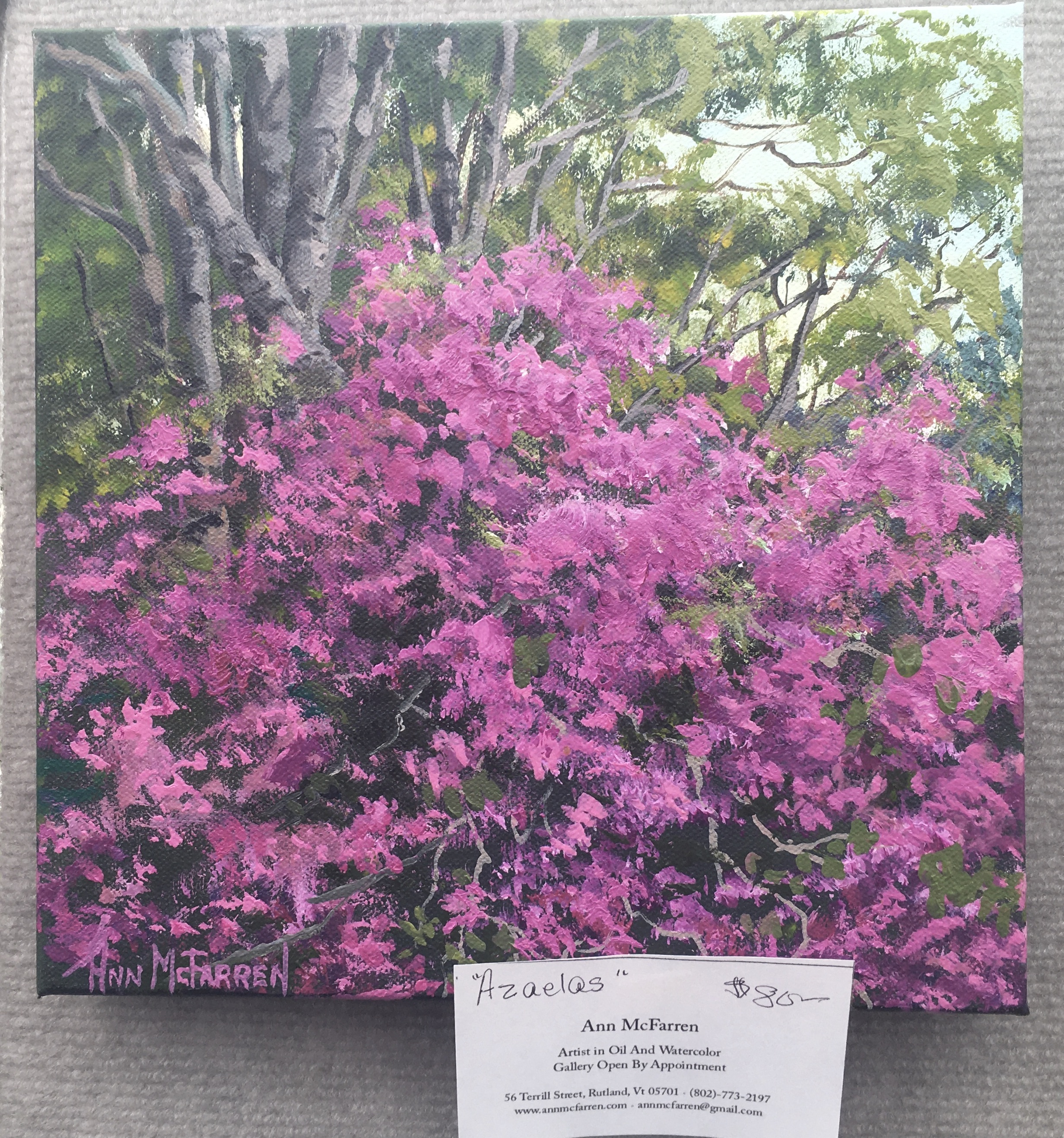 Azaleas - $80
