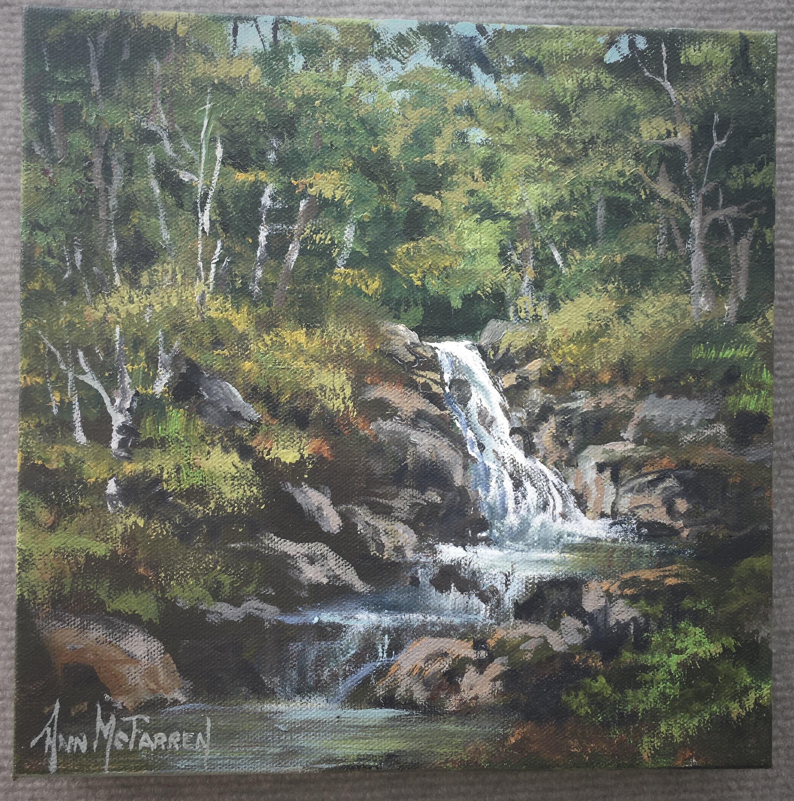 Hidden Waterfall